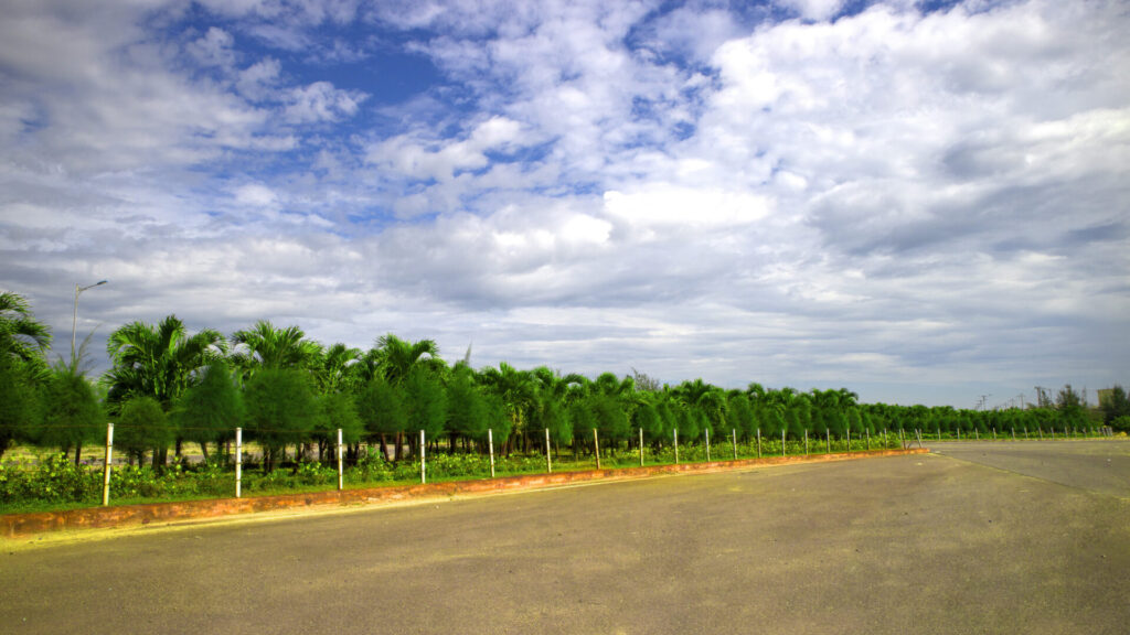 Một góc cây xanh cảnh quan tại KCN Nhơn Hội A